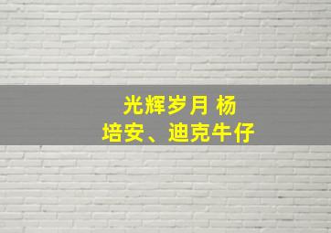 光辉岁月 杨培安、迪克牛仔